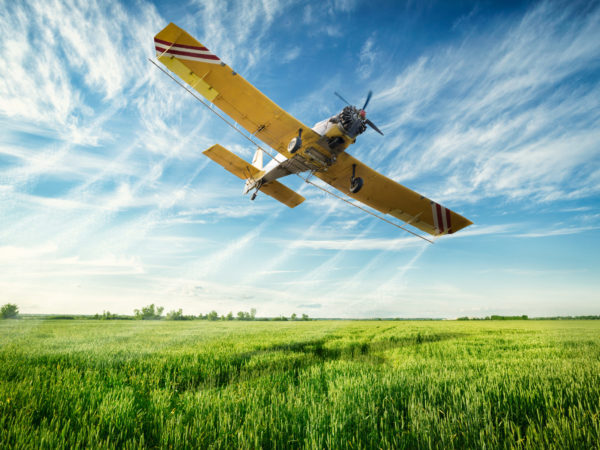 Agriculture, low flying yellow plane sprayed crops in the field