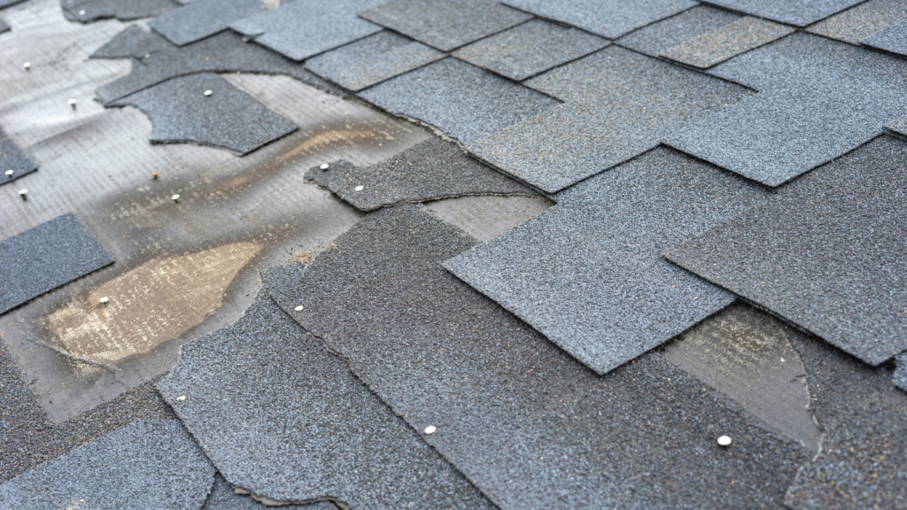 How Roof Age Affects Your Insurance Risks (7)